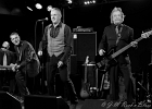 20181004-IMG 0333  Red (chant, harmonica), Jacker (guitare), Toma (basse), Guillermo (batterie), Ben (claviers) : 2018, CONCERT, NEW MORNING, SHAGGY DOGS