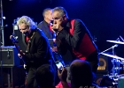 20181004-IMG 0344  Red (chant, harmonica), Jacker (guitare), Toma (basse), Guillermo (batterie), Ben (claviers) : 2018, CONCERT, NEW MORNING, SHAGGY DOGS