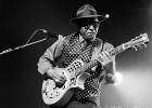 20181103-220359-IMG 0945 : 2018, ACOUSTIC MISSISSIPPI BLUES SUMMIT TOUR, BAY CAR BLUES FESTIVAL, CONCERT, TERRY HARMONICA BEAN, VASTI JACKSON, ZAC HARMON
