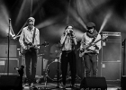 20181111-IMG 1150  The Blondysheep : 2018, CONCERT, MANTES LA JOLIE, THE BLONDYSHEEP, TREMPLIN BLUES SUR SEINE