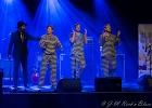 20181111-IMG 1177  Jerry T and the Black Alligators : 2018, CONCERT, JERRY T AND THE BLACK ALLIGATORS, MANTES LA JOLIE, TREMPLIN BLUES SUR SEINE