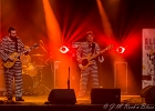 20181111-IMG 1197  Jerry T and the Black Alligators : 2018, CONCERT, JERRY T AND THE BLACK ALLIGATORS, MANTES LA JOLIE, TREMPLIN BLUES SUR SEINE