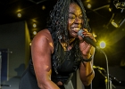 20181205-IMG 1767  Mike Wheeler (guitare, vocal), Brian James (claviers), Larry Williams (basse), Cleo Cole (batterie), Omar Coleman (harmonica, vocal), Faye &#34;Peaches&#34; Staten (vocal) : 2018, BLUES, BRIAN JAMES, CHICAGO BLUES FESTIVAL, CLEO COLE, CONCERT, FAYE PEACHES STATEN, JAZZ CLUB LIONEL HAMPTON, LARRY WILLIAMS, MIKE WHEELER, MIKE WHEELER BAND, OMAR COLEMAN