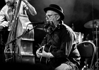 20181208-IMG 1897  The Daisy Pickers : Bo Weavil (chant, guitare, harmonica), Leon Newars (chant, piano), Stéphane Barral (contrebasse) : 2018, BLUES, CONCERT, DAISY PICKERS The, TREMBLAY EN FRANCE