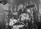 20190316-IMG 2975  Shaggy Dogs : Red  (chant, harmonica), Jacker (guitare), Toma  (basse), Guillermo (batterie),  Ben  (claviers) : PARIS-BOULE NOIRE (La), SHAGGY DOGS