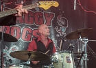 20190316-IMG 2985  Shaggy Dogs : Red  (chant, harmonica), Jacker (guitare), Toma  (basse), Guillermo (batterie),  Ben  (claviers) : PARIS-BOULE NOIRE (La), SHAGGY DOGS