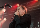 20190316-IMG 3036  Shaggy Dogs : Red  (chant, harmonica), Jacker (guitare), Toma  (basse), Guillermo (batterie),  Ben  (claviers) : PARIS-BOULE NOIRE (La), SHAGGY DOGS