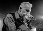 20190316-IMG 3045  Shaggy Dogs : Red  (chant, harmonica), Jacker (guitare), Toma  (basse), Guillermo (batterie),  Ben  (claviers) : PARIS-BOULE NOIRE (La), SHAGGY DOGS