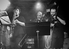 20190316-IMG 3051  Shaggy Dogs : Red  (chant, harmonica), Jacker (guitare), Toma  (basse), Guillermo (batterie),  Ben  (claviers) : PARIS-BOULE NOIRE (La), SHAGGY DOGS
