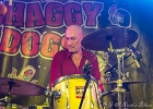 20190316-IMG 3093  Shaggy Dogs : Red  (chant, harmonica), Jacker (guitare), Toma  (basse), Guillermo (batterie),  Ben  (claviers) : PARIS-BOULE NOIRE (La), SHAGGY DOGS