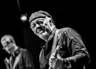 20190510-IMG 3939  Fred Chapellier (Guitare, Voix), Guillaume Destarac (Batterie), Christophe Garreau (Basse),  Jeremie Tepper (guitare) : FRED CHAPELLIER, ISSY LES MOULINEAUX-REACTEUR (Le)