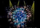 20190604-IMG 4213  20190604-IMG_4213 : DANNY LOUIS, GOV T MULE, JORGEN CARLSSON, MATT ABTS, PARIS-CIGALE (La), WARREN HAYNES