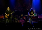 20190604-IMG 4263  Warren Haynes (chant, guitare), Matt Abts (batterie), Jorgen Carlsson (basse), Danny Louis (claviers) : DANNY LOUIS, GOV T MULE, JORGEN CARLSSON, MATT ABTS, PARIS-CIGALE (La), WARREN HAYNES