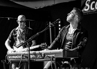 20190831-IMG 5569  Alexande Lesueur (chant, clavier), Didier Fleury (guitare), Laurent Choubrac (guitare, choeurs), Florian Robin (basse, choeurs), Marc Mitou (batterie) : BARNGUYS (The), NANTES, RENDEZ VOUS DE L ERDRE