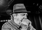 20190913-IMG 5821  Fabio Izquierdo (harmonica, chant, squeeze box), Cedric Le Goff (claviers, chant), Lucas Gautier (guitare, chant), Charlie Duchein (basse, chant), Stéphane Stanger (batterie) : BENOIT BLUE BOY, FLYIN SAUCERS, LES LILAS-TRITON (Le), PHILIPPE SAURET