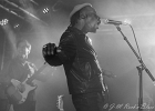 20191108-IMG 6328  Black Pumas : BLACK PUMAS, PARIS-BOULE NOIRE (La)