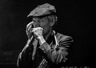 20191116-IMG 6587  Lionel Young (violon, guitare, voix), André Mali (trompette), Kimet Stone (basse),  Dexter Payne (saxophone, harmonica), William Forrest (batterie) : ANDRE MALI, DEXTER PAYNE), KIMET STONE, LIONEL YOUNG, TREMBLAY EN FRANCE, WILLIAM FORREST