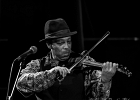 20191116-IMG 6626  Lionel Young (violon, guitare, voix), André Mali (trompette), Kimet Stone (basse),  Dexter Payne (saxophone, harmonica), William Forrest (batterie) : ANDRE MALI, DEXTER PAYNE), KIMET STONE, LIONEL YOUNG, TREMBLAY EN FRANCE, WILLIAM FORREST