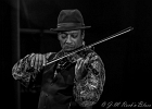 20191116-IMG 6627  Lionel Young (violon, guitare, voix), André Mali (trompette), Kimet Stone (basse),  Dexter Payne (saxophone, harmonica), William Forrest (batterie) : ANDRE MALI, DEXTER PAYNE), KIMET STONE, LIONEL YOUNG, TREMBLAY EN FRANCE, WILLIAM FORREST