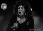 20191120-IMG 6701  Wayne Baker Brooks (guitare, chant), Maurice John Vaughn (guitare, chant, clavier), Russ Green (harmonica, chant), Trudy Lynn (chant), Melvin Smith (basse), Willie The Touch Hayes (batterie) : BLUES SUR SEINE-GUERVILLE, CHICAGO BLUES FESTIVAL 2019, MAURICE JOHN VAUGHN, MELVIN SMITH, RUSS GREEN, TRUDY LYNN, WAYNE BAKER BROOKS, WILLIE HAYES