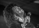 20191120-IMG 6708  Wayne Baker Brooks (guitare, chant), Maurice John Vaughn (guitare, chant, clavier), Russ Green (harmonica, chant), Trudy Lynn (chant), Melvin Smith (basse), Willie The Touch Hayes (batterie) : BLUES SUR SEINE-GUERVILLE, CHICAGO BLUES FESTIVAL 2019, MAURICE JOHN VAUGHN, MELVIN SMITH, RUSS GREEN, TRUDY LYNN, WAYNE BAKER BROOKS, WILLIE HAYES