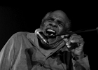 20191202-IMG 6917  Chicago Blues Festival 2019 :  Wayne Baker Brooks (guitare, chant), Maurice John Vaughn (guitare, chant, clavier), Russ Green (harmonica, chant), Trudy Lynn (chant), Melvin Smith (basse), Willie Hayes (batterie) : CHICAGO BLUES FESTIVAL 2019, MAURICE JOHN VAUGHN, MELVIN SMITH, PARIS-NEW MORNING, RUSS GREEN, TRUDY LYNN, WAYNE BAKER BROOKS, WILLIE HAYES