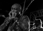 20191202-IMG 6936  Chicago Blues Festival 2019 :  Wayne Baker Brooks (guitare, chant), Maurice John Vaughn (guitare, chant, clavier), Russ Green (harmonica, chant), Trudy Lynn (chant), Melvin Smith (basse), Willie Hayes (batterie) : CHICAGO BLUES FESTIVAL 2019, MAURICE JOHN VAUGHN, MELVIN SMITH, PARIS-NEW MORNING, RUSS GREEN, TRUDY LYNN, WAYNE BAKER BROOKS, WILLIE HAYES