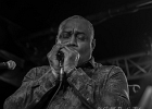 20191202-IMG 6937  Chicago Blues Festival 2019 :  Wayne Baker Brooks (guitare, chant), Maurice John Vaughn (guitare, chant, clavier), Russ Green (harmonica, chant), Trudy Lynn (chant), Melvin Smith (basse), Willie Hayes (batterie) : CHICAGO BLUES FESTIVAL 2019, MAURICE JOHN VAUGHN, MELVIN SMITH, PARIS-NEW MORNING, RUSS GREEN, TRUDY LYNN, WAYNE BAKER BROOKS, WILLIE HAYES