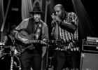 20211105-IMG 2106  John Primer (chant, guitare), Steve Bell (harmonica), Lenny Media (batterie), Dave Forte (basse) : BAY CAR BLUES FESTIVAL, DAVE FORTE, JOHN PRIMER, LENNY MEDIA, STEVE BELL