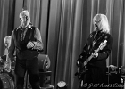 20220122-IMG 3488  Red (chant, harmonica), Jacker (guitare), Toma (basse), Guillermo (batterie), Ben (claviers) : SHAGGY DOGS, TREMBLAY EN FRANCE