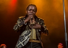 20230217-IMG 1215  Lee Fields : LEE FIELDS, PARIS 18eme, PARIS-TRIANON (Le)
