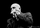 20231215-201628-IMG 1620  Nico Wayne Toussaint (chant, harmonica), Michel Foizon (guitare), Romain Gratalon (batterie), Rémi Grangé (basse) : MICHEL FOIZON, NICO WAYNE TOUSSAINT, ROMAIN GRATALON, SEINE SAINT DENIS-LES LILAS-TRITON (Le)