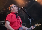 20240825-181250-IMG 6373  The Blue Cats : BETHUNE RETRO FESTIVAL, BLUE CATS (The), PAS DE CALAIS-BETHUNE