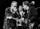 20250329-212910-IMG 8505  Franck Ash (chant, guitare), Vincent Bucher (chant, harmonica), Cyrille Catois (basse), Christophe Gaillot (batterie) : CHRISTOPHE GAILLOT, CYRILLE CATOIS, FRANCK ASH, SEINE SAINT DENIS-TREMBLAY EN FRANCE, VINCENT BUCHER