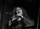 20260424-223935-IMG 3063  Matthew Skoller and Chicago Wind Feat : BEAUTIFUL SWAMP BLUES FESTIVAL, FELTON CREWS, HAUTS DE FRANCE, HAUTS DE FRANCE-PAS DE CALAIS-CALAIS, JOHNNY IGUANA, MATTHEW SKOLLER, MATTHEW SKOLLER AND CHICAGO WIND, POOKY STYX, PRECIOUS TAYLOR, TOM HOLLAND