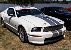 20180805-140213-IMG 9595  Ford Mustang Shelby  - Loire Atlantique  - France le  5 août 2018 : 18eme CONCENTRE US AND ROCK N ROLL KULTURE, 2018, AUTO, AUTO AMERICAINE, BOURGNEUF EN RETZ