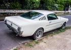 20210527-100 2567  Ford Mustang -  -  Yvelines - France - le 27/05/2021 : AUTO, AUTO AMERICAINE, FORD MUSTANG, LE VESINET