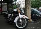 20080704-IMG 2398  Road king classic Paris 14eme  (France) le 04/07/2008 : MOTOS HARLEY