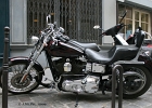20090427-IMG 4841  Dyna Low Rider Paris 2eme (France) le 27/04/2009 : MOTOS HARLEY