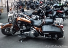 20101006-IMG 0082  - Paris - France le 6 octobre 2010 : MOTOS HARLEY