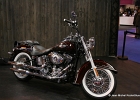 20101104-IMG 2382  Softail de luxe  - Paris le 4 novembre 2010