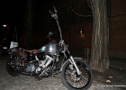 20110319-IMG 1106  Harley non identifiée  à Berlin - Allemagne le 19 mars 2011