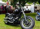 20140510-IMG 7807  Harley  Davidson : 2014, AMERICAN DAY, BREVAL, MARTINE, MOTOS HARLEY