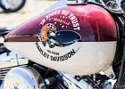 20150628-IMG 3375  Harley Davidson : 2015, COUDRAY MONTCEAUX, FESTIVAL COUNTRY