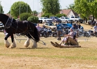 20150628-IMG 3402  20150628-IMG_3402 : 2015, COUDRAY MONTCEAUX, FESTIVAL COUNTRY