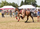 20150628-IMG 3411  20150628-IMG_3411 : 2015, COUDRAY MONTCEAUX, FESTIVAL COUNTRY