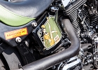 20150711-IMG 3676  Harley Davidson - Morzine Harley Days - Morzine - France le 11 juillet 2015 : HARLEY DAYS, MORZINE