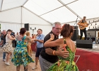 20150801-IMG 4340  2015 08 01 - IMG_4340 : 2015, BOURGNEUF EN RETZ, CONCERT, ROCK, ROCKABILLY, THE FABULOUS TRIO