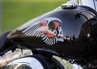 20160611-IMG 1626  Harley Davdison - A.M.B. Show - Mantes la Jolie - France le 11 juin 2016 : 2016, AMB SHOW, MOTOS HARLEY