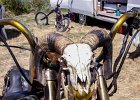 20180805-134434-100 0666  Yamaha - 18eme Concentre US - Bourgneuf en Retz - France le 5 août 2018 : 18eme CONCENTRE US AND ROCK N ROLL KULTURE, 2018, BOURGNEUF EN RETZ, MOTOS HORS HARLEY, YAMAHA